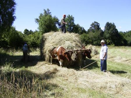 The Ranch in Pucon, Chile